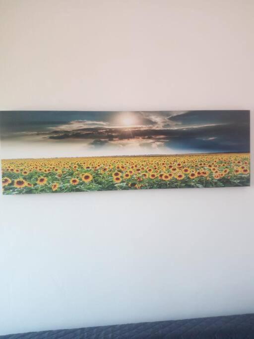Ferienwohnung Il Girasole Cagliari Exterior foto